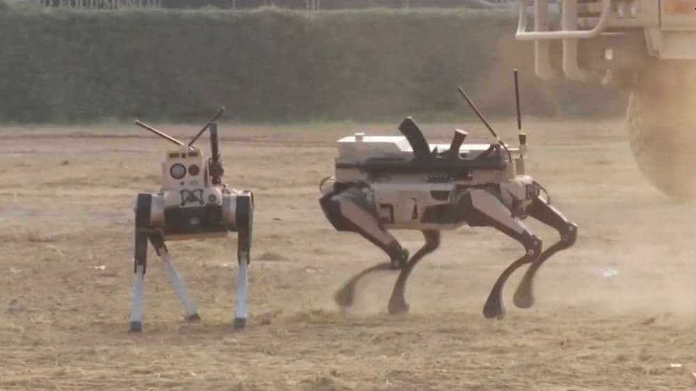 China Robot Wolves Revealed: Armed Packs for Urban Warfare